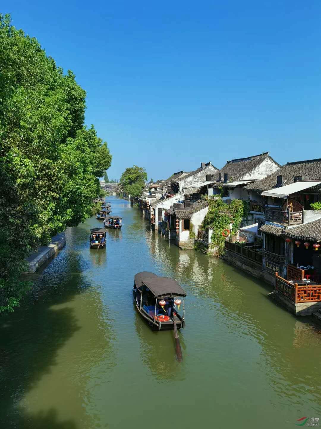 纱非纱、花非花，频繁“出圈”的德化白瓷把细节之美拿捏住了